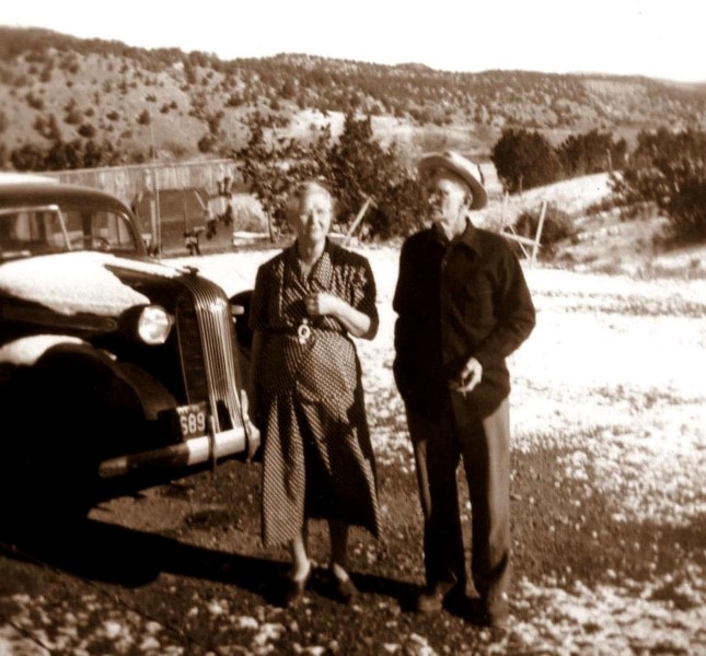 1948 GM & GP farm gs X3 1948 GM & GP farm gs X3